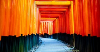 【夢占い】鳥居の夢を見ると願いがかなう？色別・シーン別でも詳しく解説