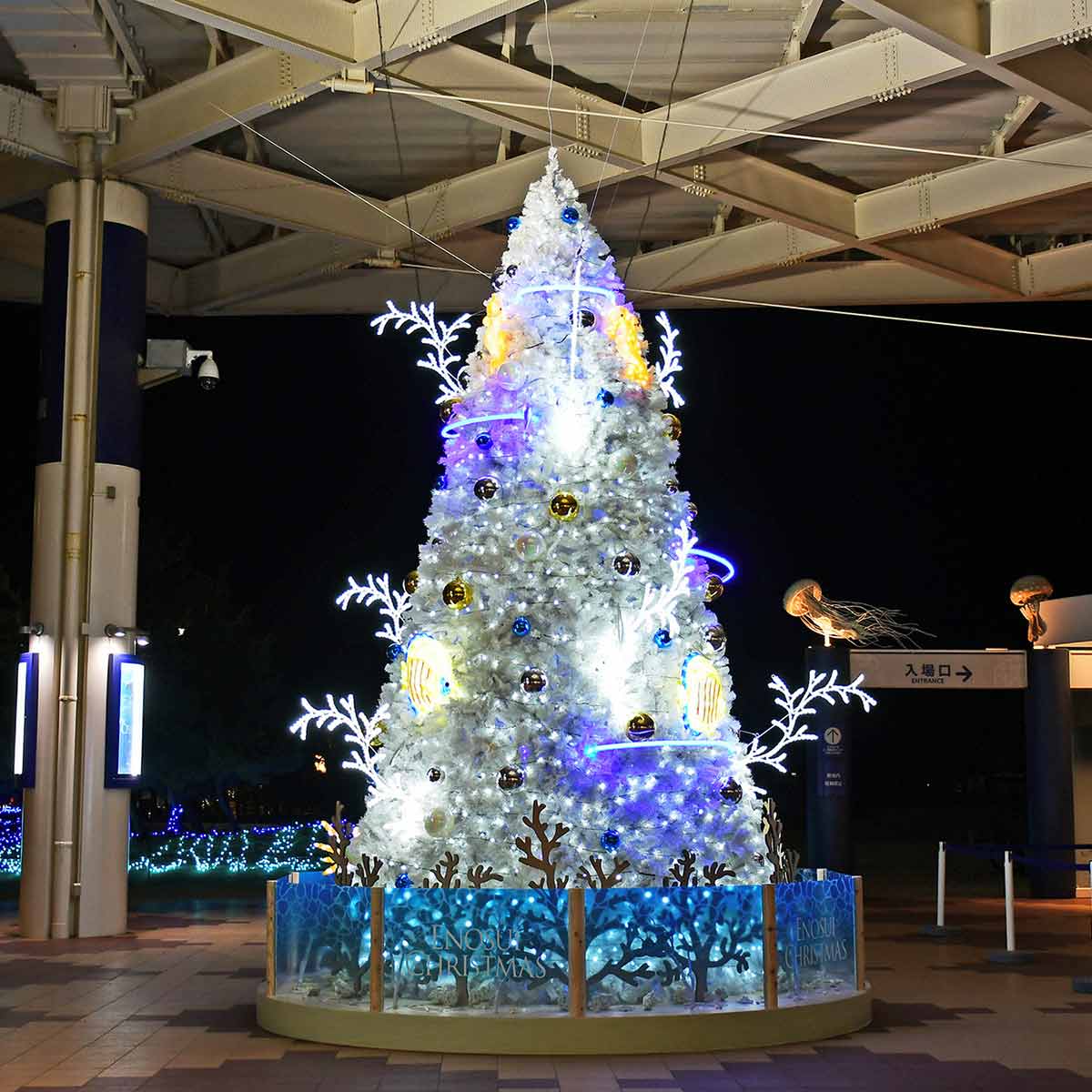 新江ノ島水族館「えのすいクリスマス」。サンゴをイメージしたホワイトツリー、35種の生き物を紹介するアドベントカレンダーも