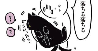 飼い主に抱っこされながら大忙し！しっぽを追う黒猫ろん