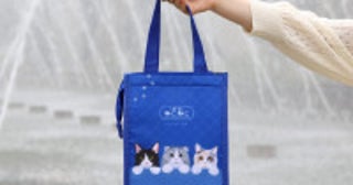 オールハーツ・カンパニー初の「夏の福袋」発売決定！ねこねこの新作「三角保冷バッグ」付き