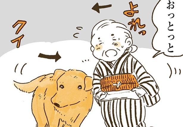 大好きだから支えたい。おばあちゃんとレトリバーの心温まる関係