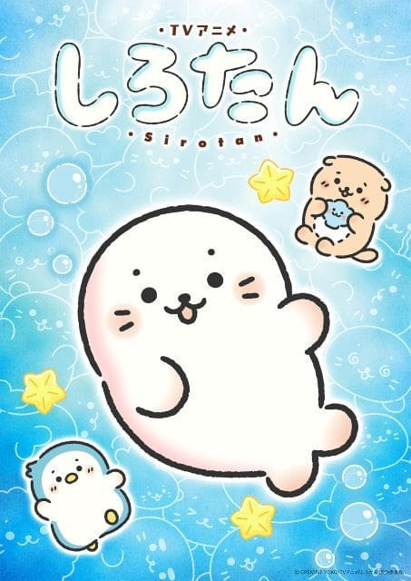 「しろたん」再アニメ化、26年秋にテレビ朝日で放送開始しろたん役は悠木碧が続投