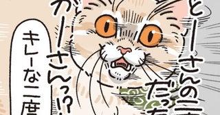 【ネコ漫画】「おとーしゃんのニオイがするのに…？」ニオイで混乱した愛猫が見せた“キレイな二度見”に愛猫家が「切ない」「逆なら？」の声【作者に聞く】