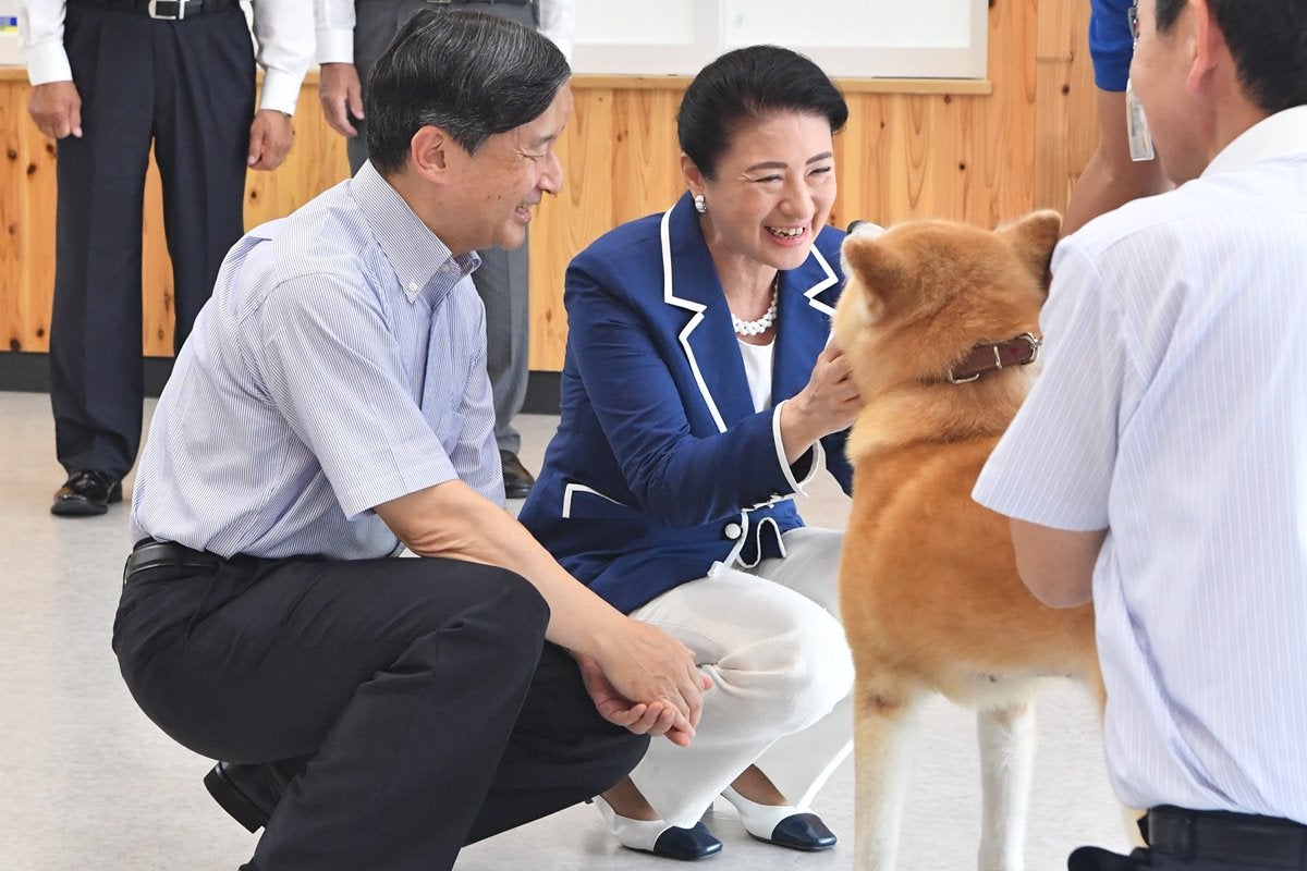 笑顔で撫でられる雅子さま、恐る恐る近づく悠仁さま…「皇室と犬」アルバム