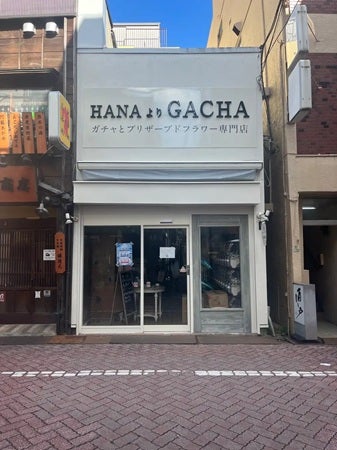【東京都足立区】花屋に新しい来店理由を！北千住に本格ガチャ専門店「HANAよりGACHA」オープン