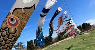 【滋賀県高島市】「びわこ箱館山」がグリーンシーズン営業開始！新たに「こいのぼりエリア」が誕生