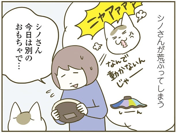 「猫が荒ぶってしまう」毎日遊んでいたおもちゃが壊れたときの飼い主の不安