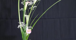 ビジネスマンによる生け花の展示とコンテストアートな脳で判断力を磨く