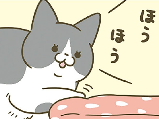 「ほう」「ほうほう」飼い主が作ったあったかベッドに興味津々の猫