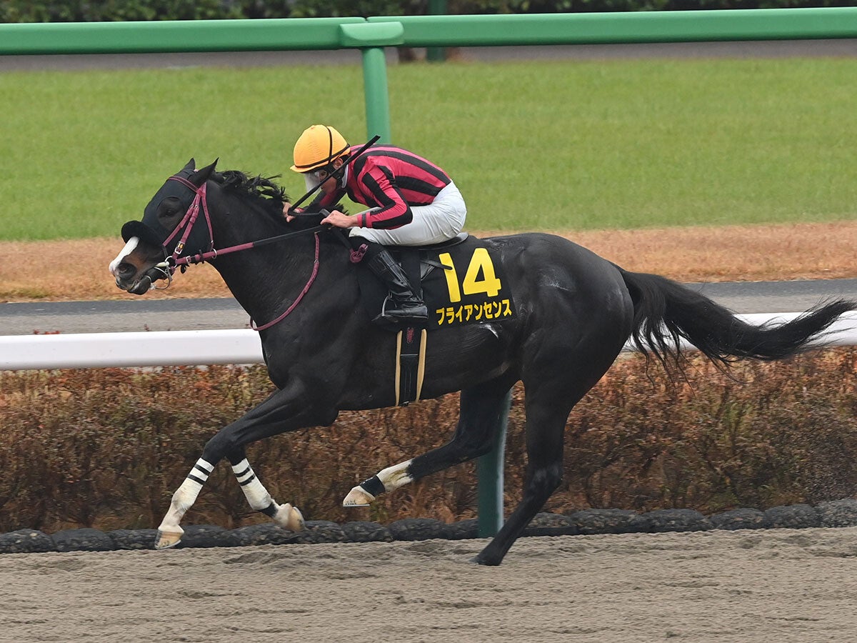 【競馬予想】今年最初のＧⅠ、フェブラリーＳで注目すべき血統は？レースと相性がよさそうな２頭に期待