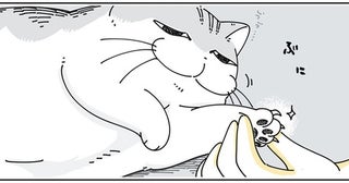 寝起きの今を狙え！ 爪切りを嫌がる猫を逃さないタイミングとは