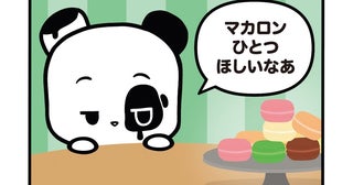 【フランスのパンダ ガドゥ】Épisode 58『食いしん坊のマカロン選び』