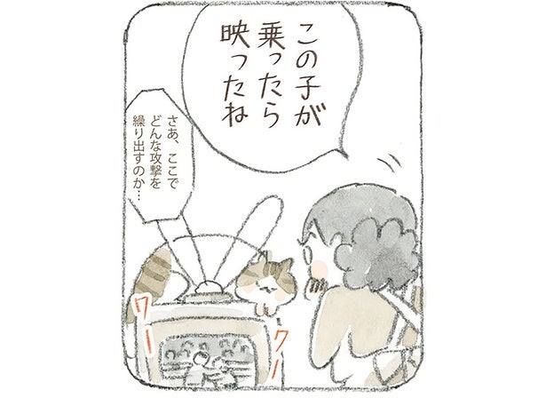 猫のおかげで映るように!?島のみんなが夢中になった初めてのテレビ