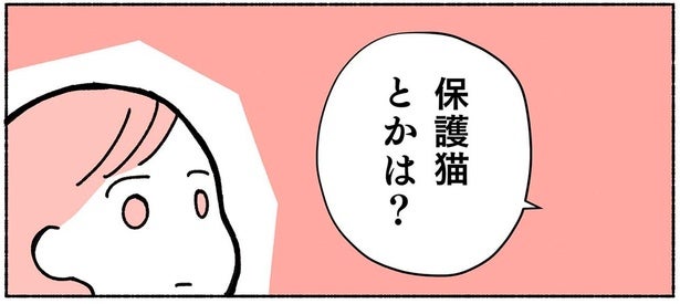 猫を飼いたという私に「保護猫は？」友人の言葉で知ったペットショップ以外の選択肢／ねこ活はじめました（1）