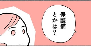 猫を飼いたという私に「保護猫は？」友人の言葉で知ったペットショップ以外の選択肢／ねこ活はじめました（1）