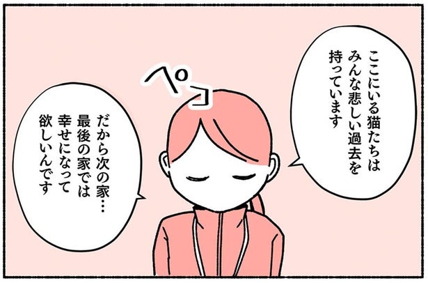 「今度は絶対幸せになって欲しいから」保護猫の譲渡の条件が厳しい理由に涙／ねこ活はじめました（4）