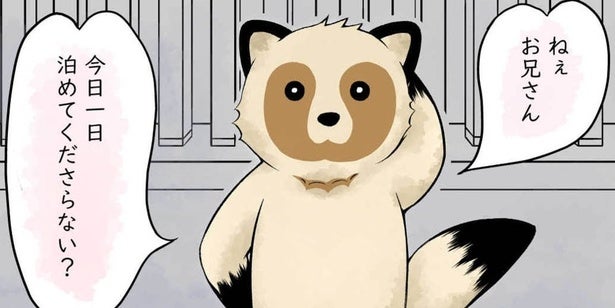 可愛すぎる”たぬき”が、突然泊めてくれと訪ねてきて…女子大生とのほっこりストーリーに「笑った」の声【漫画】