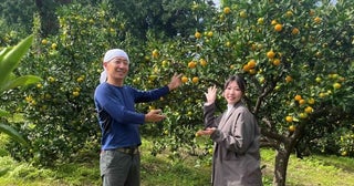 手絞りで100％みかんジュースを作ろう湯河原の旅館で廃棄になるみかんを使⽤