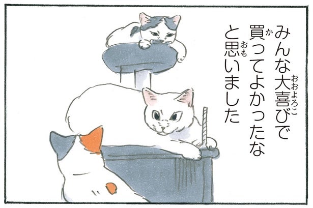 新しいキャットタワーにみんな大喜び。買うきっかけはホワホワ猫じゃらし