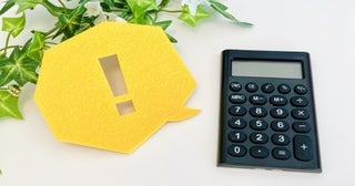 「独身税」ともいわれる「子ども・子育て支援金」。私たちの月額の「収入」にどのくらい影響がありますか？
