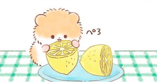 食卓においしそうなレモン。食いしん坊のハムスターは思わずペロリ！