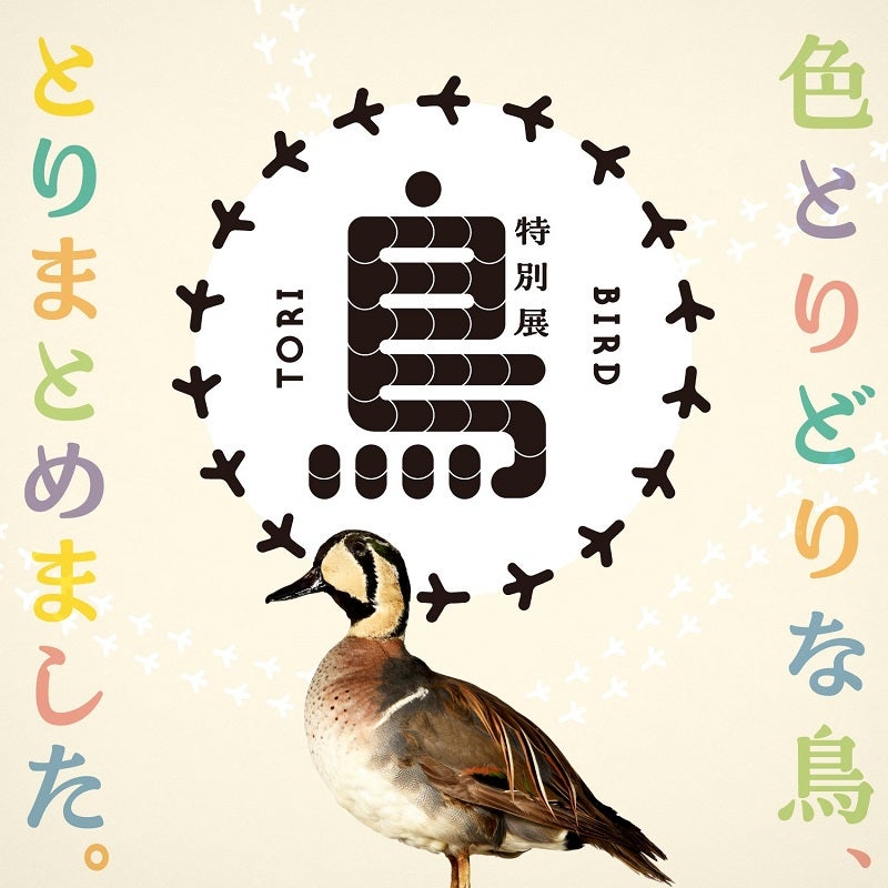 国立科学博物館で初の「鳥類」をテーマとした特別展を開催600点以上の標本で鳥類の秘密や魅力を徹底紹介