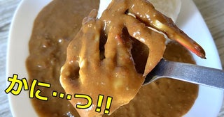 驚がくの本格派！【ロピア】インド大使館の元料理長が監修。具がごろっと入った冷凍カレーがスゴかった