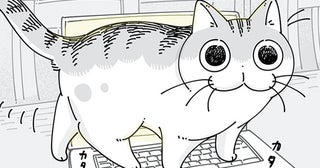 どういう偶然？ パソコンのショートカットキーを巧みに使うネコが面白い