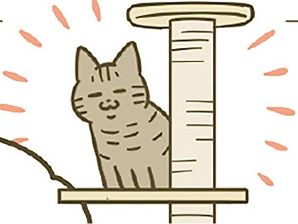 緊張しながらも慣れてきた？ キャットタワーも制覇し始めたのが愛おしくて