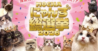 推し猫を応援！850匹以上が参加する「MOCHAにゃんず総選挙2026」を、世界同時開幕