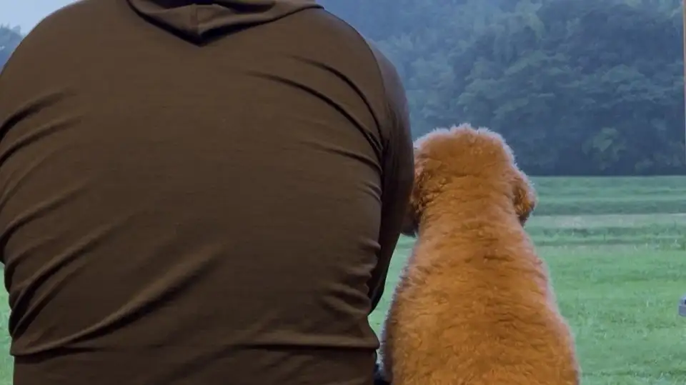 「最高のパートナーですね」愛犬と過ごす〝雨降り〟と〝雨上がり〟...愛しい変化に6.3万人もん絶