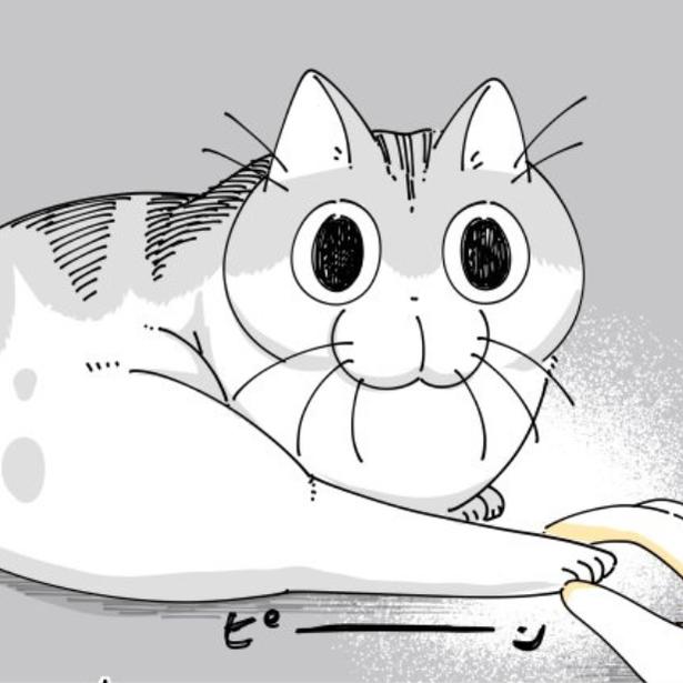 【ネコ漫画】愛猫の手だと思って触ったらまさかの足!?意外すぎる反応がSNSで大反響