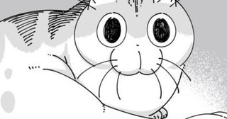 【ネコ漫画】愛猫の手だと思って触ったらまさかの足!?意外すぎる反応がSNSで大反響
