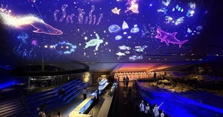 すみだ水族館の天井に花火が打ち上がる！「すみすい花火2026」開幕、100個のクラゲ風鈴の回廊も