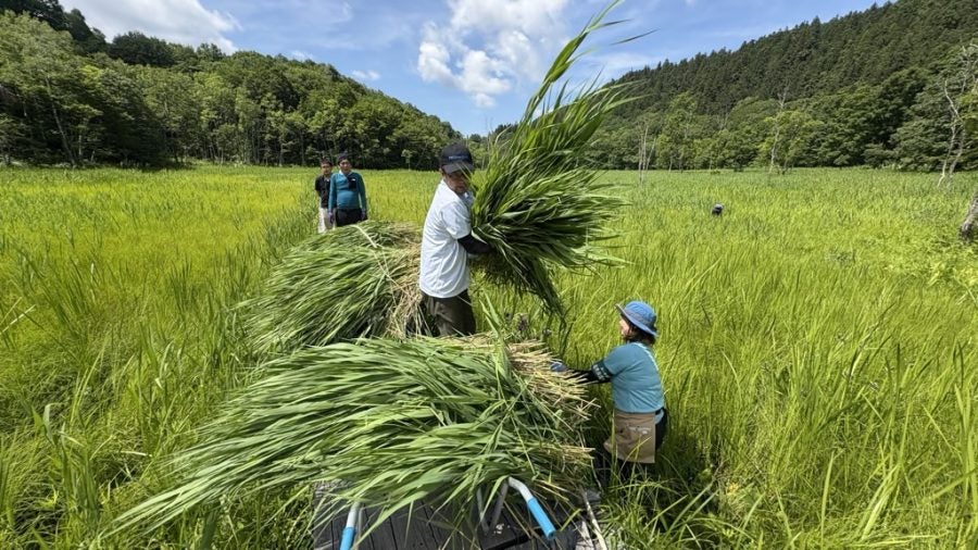 湿原のヨシを地域資源に飛騨で広がる産官学連携日本新聞インキが商品化、中京大生は企業営業も実践