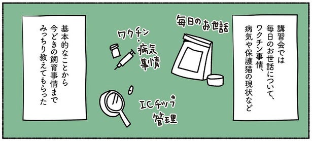 夫婦で保護猫講習会へ。飼い主と猫にとって必要な情報をみっちり学習／ねこ活はじめました（3）