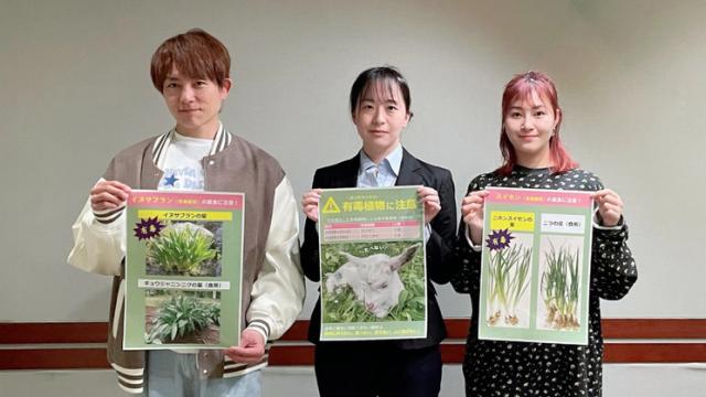 イヌサフラン、スイセン、トリカブト…“山菜採り”シーズンに間違いやすい「有毒植物」の危険性と注意すべきポイントを紹介