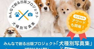 みんなでつくる「犬種別写真集」に掲載するワンちゃん募集中！特賞は愛犬の写真集出版