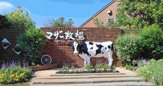 千葉・マザー牧場で迫力満点のイベント「ひつじの大放牧」が開催！朝から楽しめるシルバーウィークのおでかけ先