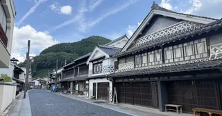 「これほどの町並みなのに観光客ほとんどいない」タイムスリップしたみたい？広島〝上下〟の風景に感動