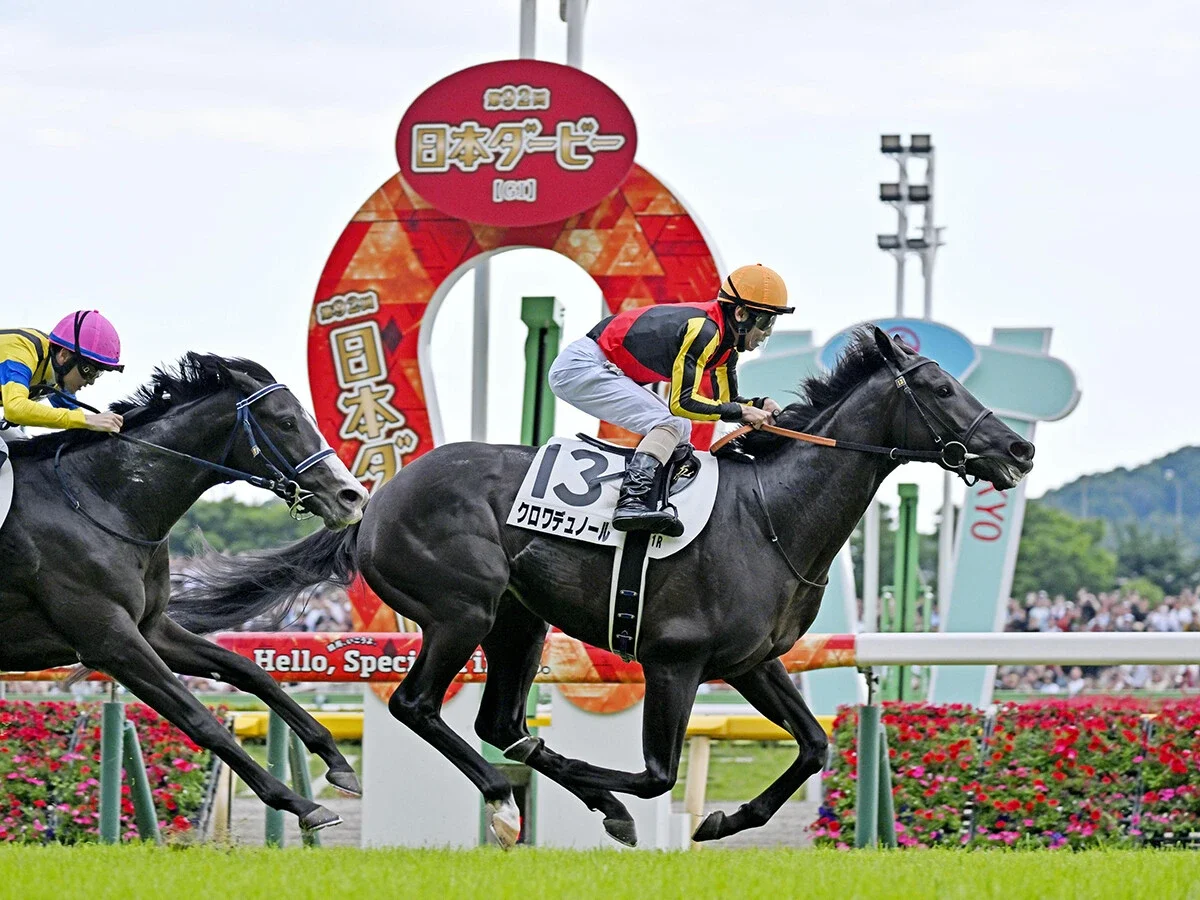 【競馬予想】ジャパンカップに挑むクロワデュノールの巻き返しはあるか？評価急落のなぜ