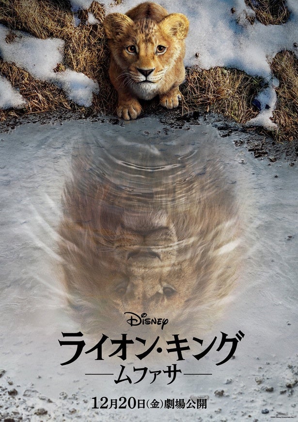 「ライオン・キング」最新作の邦題が「ライオン・キング：ムファサ」に公開日も12月20日(金)に決定