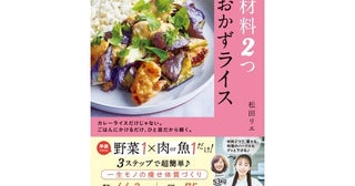 お米は脂肪を燃やす着火剤!?ワンプレートで痩せ体質を作る『ずぼらやせ12kg！ 材料2つ おかずライス』発売