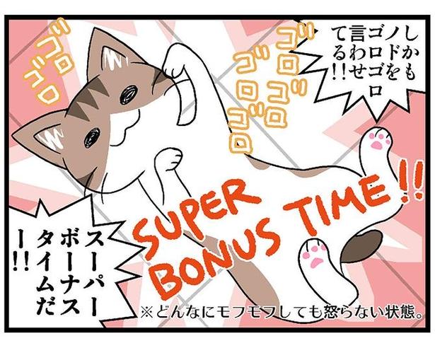 【ネコで人生が変わる】「もっと早く飼えば…」家がボロボロでも「些細」と言い切る“初猫”の魅力