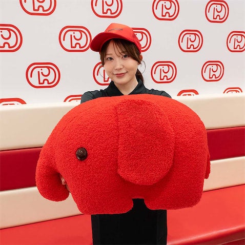 ドムドムバーガー タイトーくじ LH賞＋A賞 グッズセット ドムドムバーガー タイトーくじ LH賞 ドムドムバーガー 一番くじ 第2弾 D賞豆皿コレクション