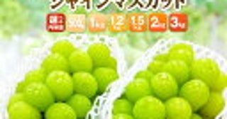 ＜義母を叱ってしまった＞「はぁ？ダメでしょう！」みんなが見える場所でオムツ替えは非常識だよね？