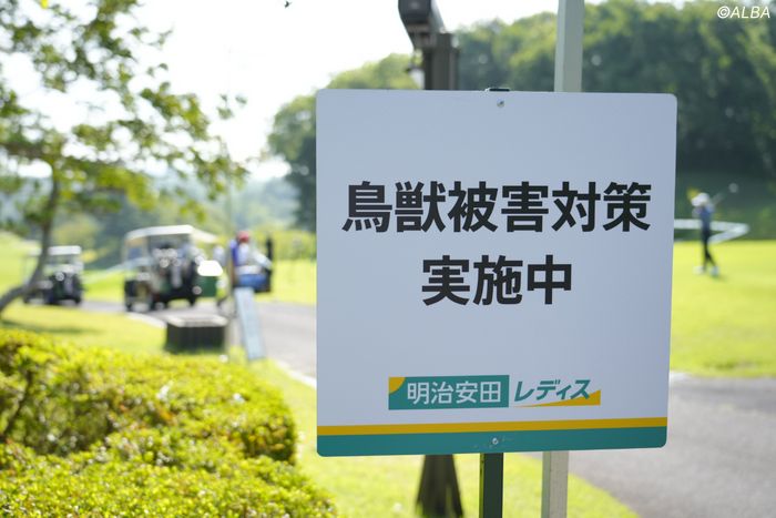 1年前はクマ出没で初日中止→無観客開催今年の対策は？ドローンも活用「安心安全な大会運営を」