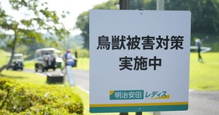 1年前はクマ出没で初日中止→無観客開催今年の対策は？ドローンも活用「安心安全な大会運営を」
