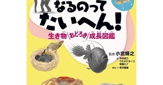 生後すぐ崖から100mダイブ！？ お腹に3年半！？ 生き物の"まさかの育ち方"にハマる図鑑が発売