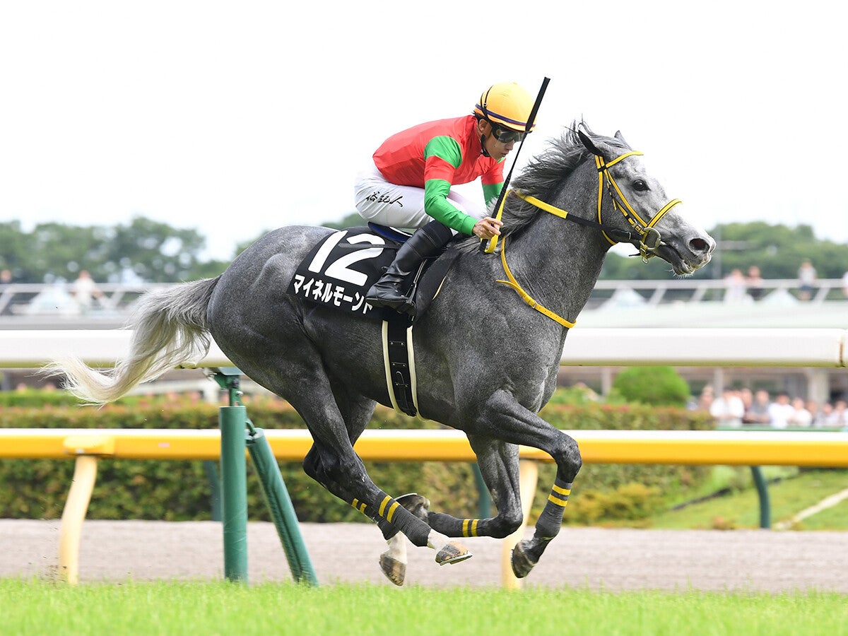 【競馬予想】七夕賞は舞台合う伏兵２頭が高額配当を演出か人気の有力馬には嫌なデータあり